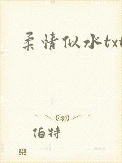 柔情似水txt