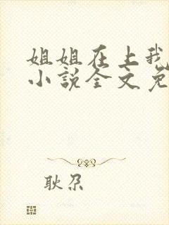 姐姐在上我在下小说全文免费阅读