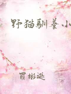 野猫驯养小说