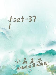 fset-371