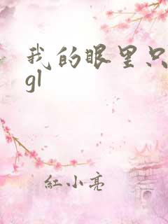 我的眼里只有你gl