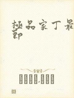 极品家丁最新章节