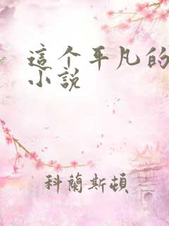 这个平凡的男子小说