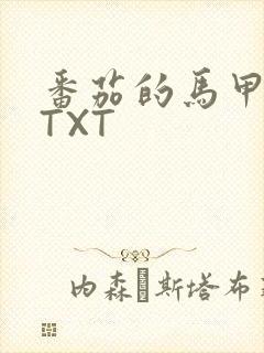 番茄的马甲小说TXT