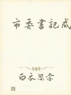 市委书记成长记