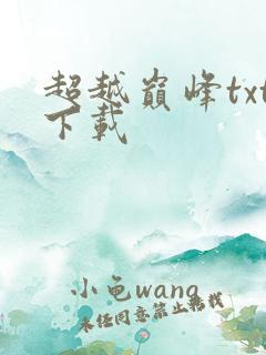 超越巅峰txt下载