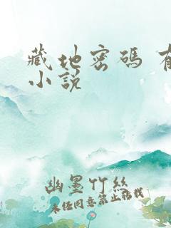 藏地密码 有声小说