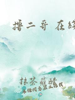 撸二哥 在线