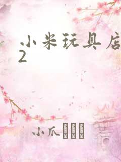 小米玩具店老板2