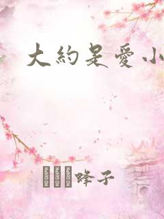 大约是爱小说