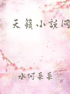 天籁小说网