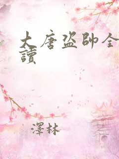 大唐盗帅全文阅读