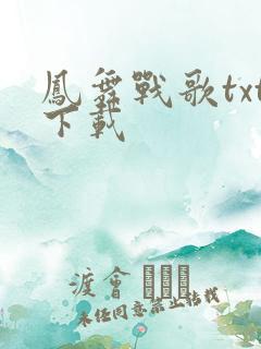 凤舞战歌txt下载