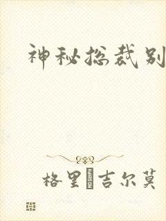 神秘总裁别玩我