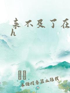 来不及了在车ch