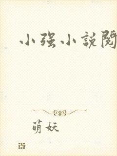 小强小说阅读网