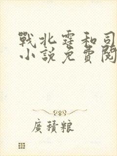 战北霆和司情的小说免费阅读