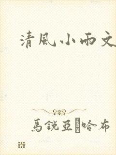 清风小雨文学网