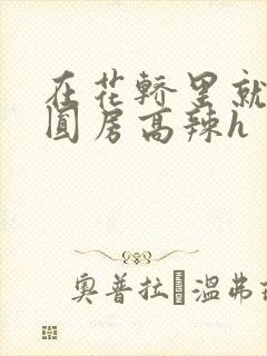 在花轿里就开始圆房高辣h