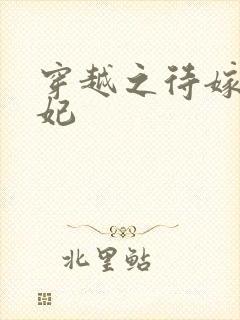 穿越之待嫁太子妃