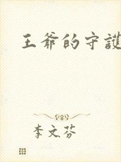 王爷的守护男妃