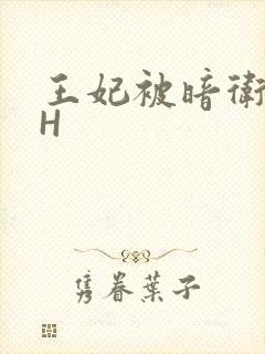 王妃被暗卫肉高H