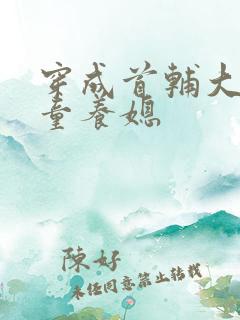 穿成首辅大人的童养媳