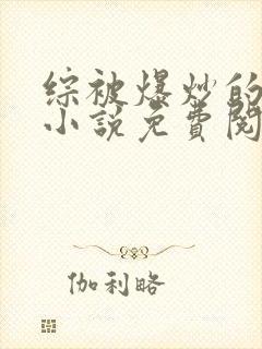 综被爆炒的日常小说免费阅读