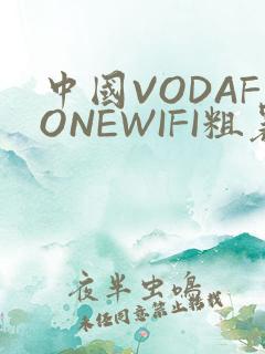 中国VODAFONEWIFI粗暴APP