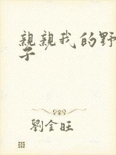 亲亲我的野猪王子