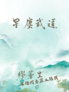 星尘武道