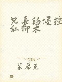 兄长的侵控by红柳木