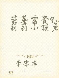 荣华富贵9小王莉莉小说免费阅读