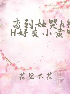 脔到她哭h粗话H好爽小黄鸭视频