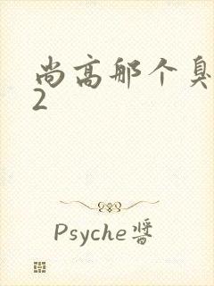 尚高那个臭小子2