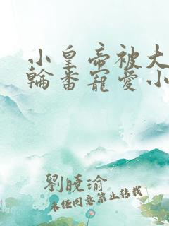 小皇帝被大臣们轮番宠爱小说