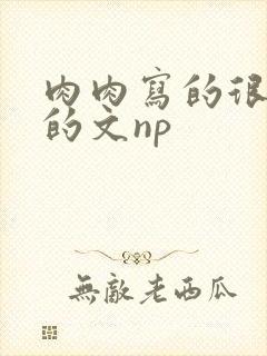 肉肉写的很细致的文np