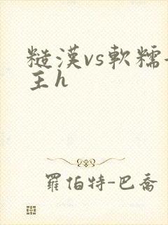 糙汉vs软糯女主h