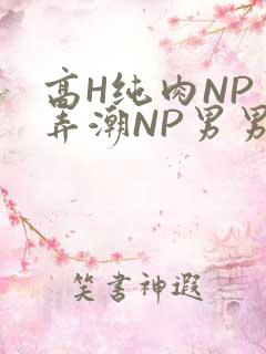 高H纯肉NP 弄潮NP男男