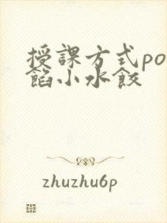 授课方式po肉馅小水饺