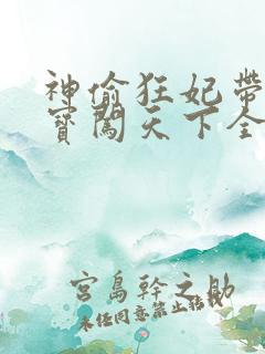 神偷狂妃带着宝宝闯天下全文免费阅读
