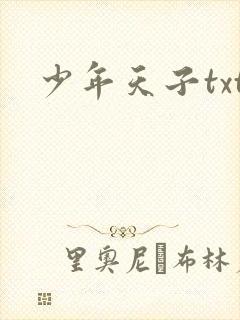 少年天子txt