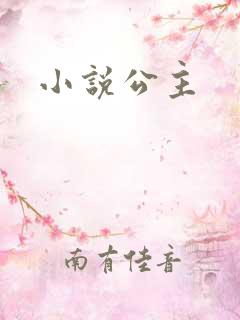 小说公主