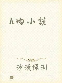 h肉小说