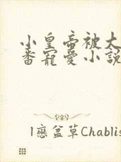 小皇帝被大臣轮番宠爱小说