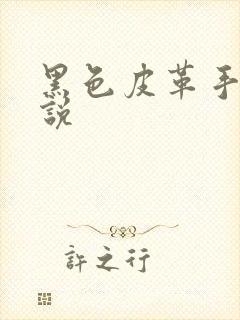 黑色皮革手册小说