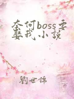 奈何boss要娶我小说