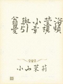 翁与小莹浴室欢爱51章视频