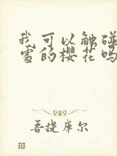 我可以触碰你深处的樱花吗