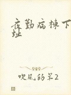 夜勤病栋下载地址